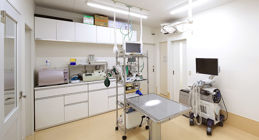 株式会社ミイワス｜Works/Animal Hospital