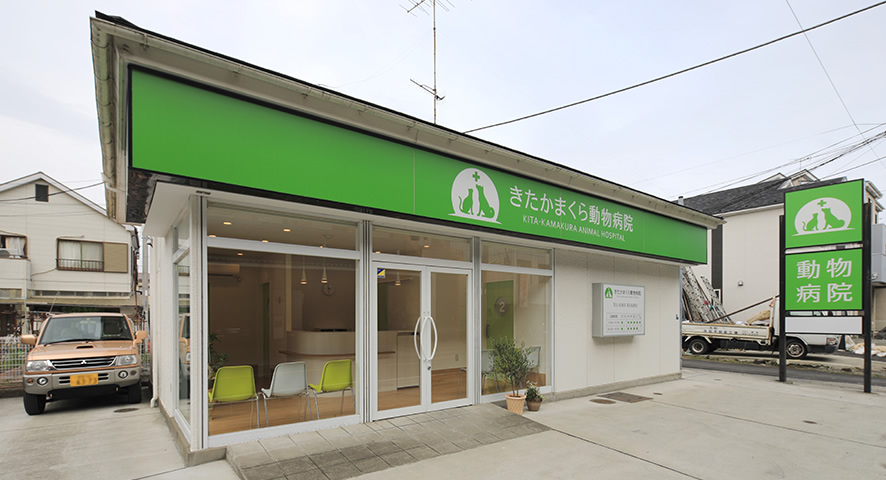 株式会社ミイワス｜Works/Animal Hospital