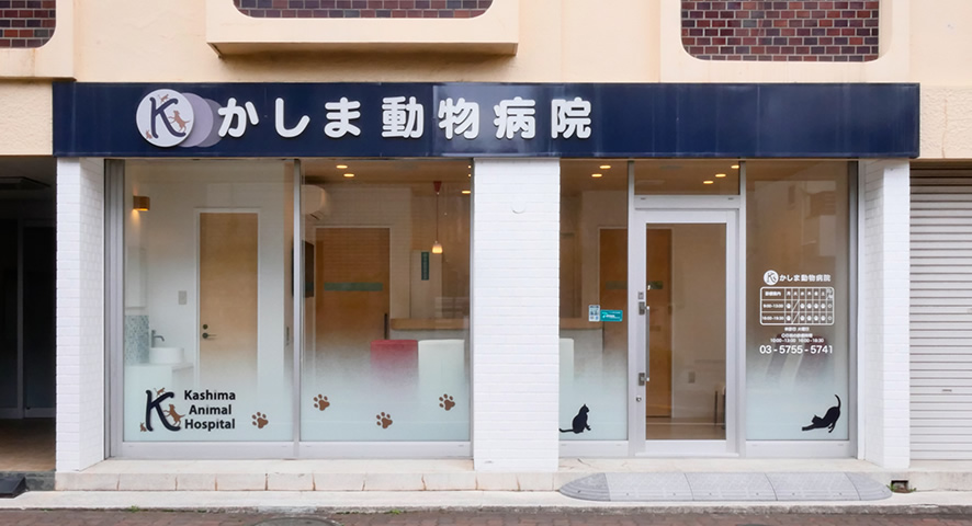 株式会社ミイワス｜Works/Animal Hospital