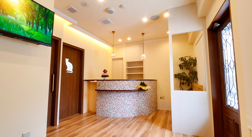 株式会社ミイワス｜Works/Animal Hospital