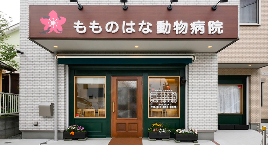 株式会社ミイワス｜Works/Animal Hospital