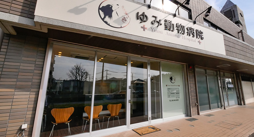 株式会社ミイワス｜Works/Animal Hospital