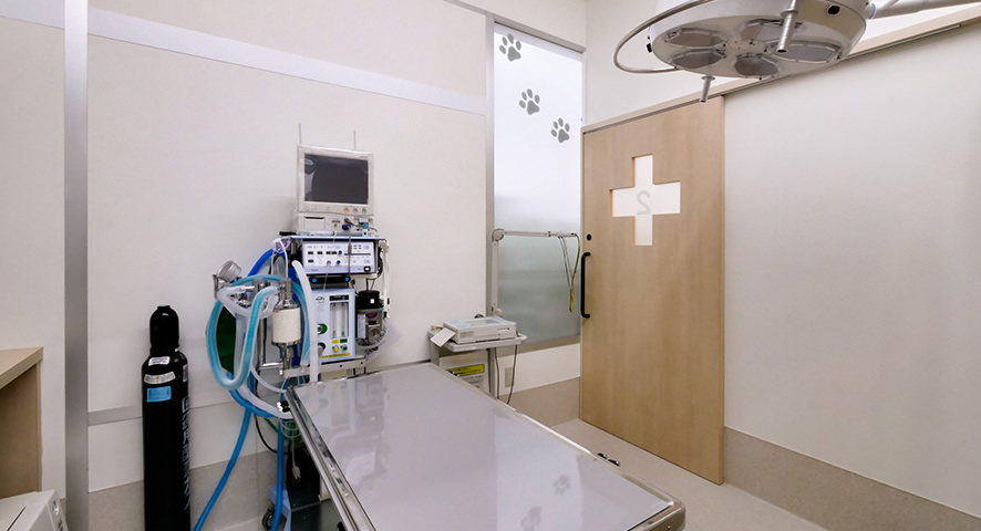 株式会社ミイワス｜Works/Animal Hospital