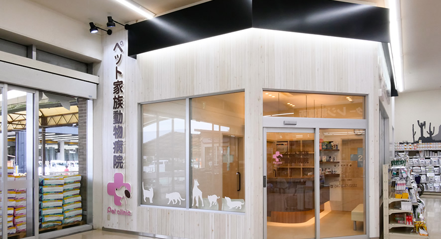 株式会社ミイワス｜Works/Animal Hospital