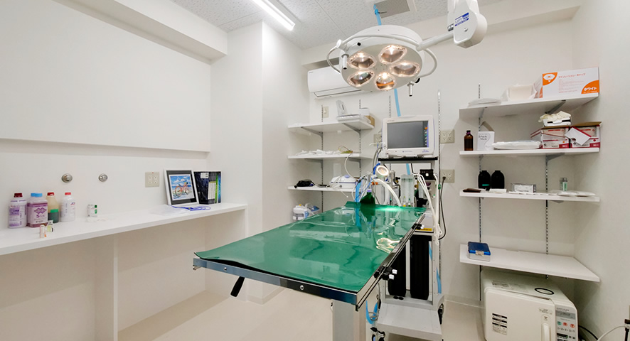 株式会社ミイワス｜Works/Animal Hospital