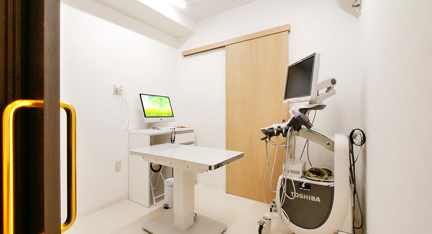 株式会社ミイワス｜Works/Animal Hospital